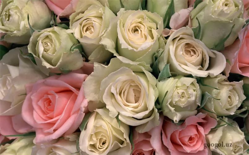 Katta hajmdagi gullar rasmi