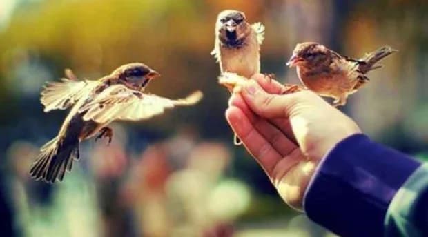 Sizni o'ylantirib qo'yadigan mitti hikoyalar to'plami