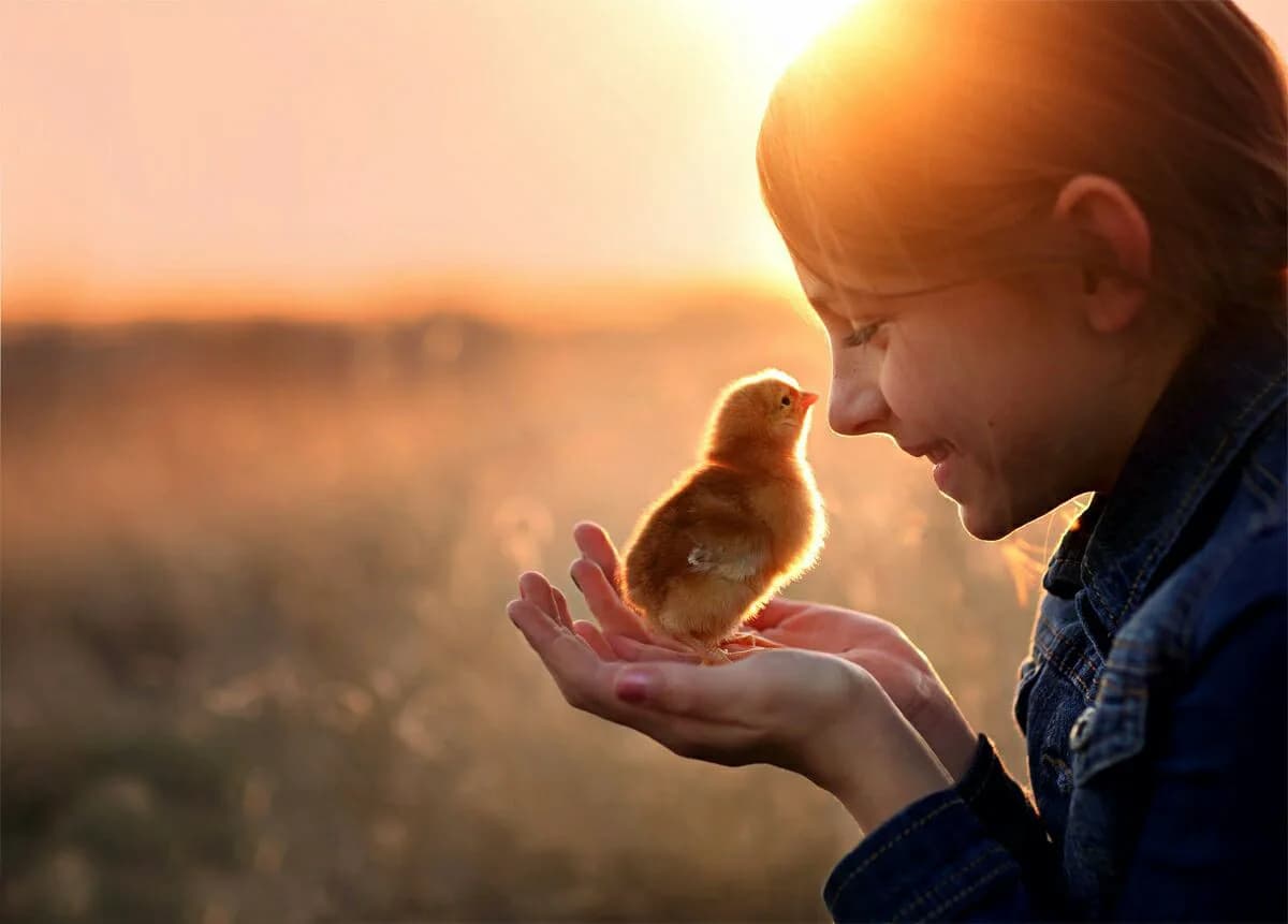 Taqdiringizdan rozi bo'ling!