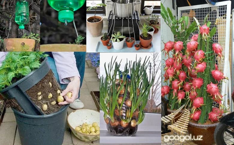 Zamonaviy Agro idealar